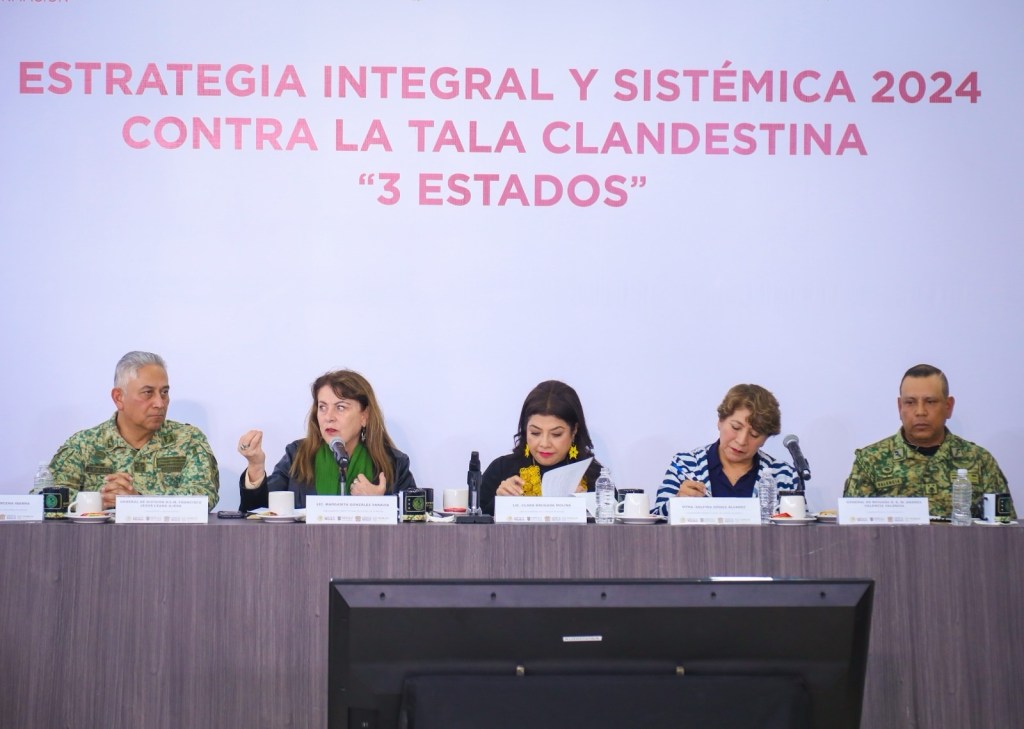 Establecen CDMX, Edo Méx y Morelos estrategia conjunta para combatir tala&nbsp;clandestina