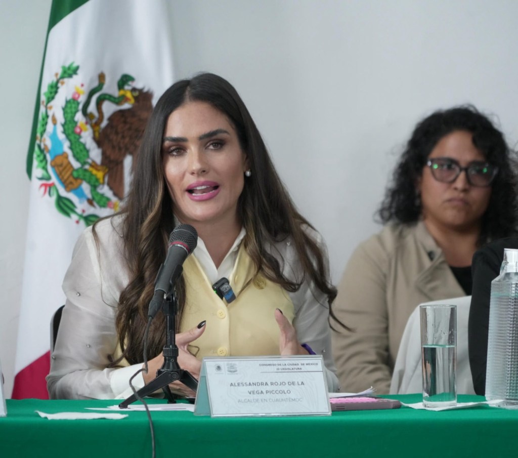 Acusa Alessandra Rojo de la Vega irregularidades en la administración de Sandra&nbsp;Cuevas