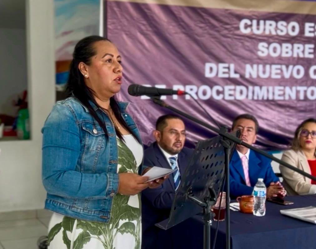 Código Nacional de Procedimientos Civiles y Familiares estará listo en tiempo: Dip Jazmín&nbsp;Solano