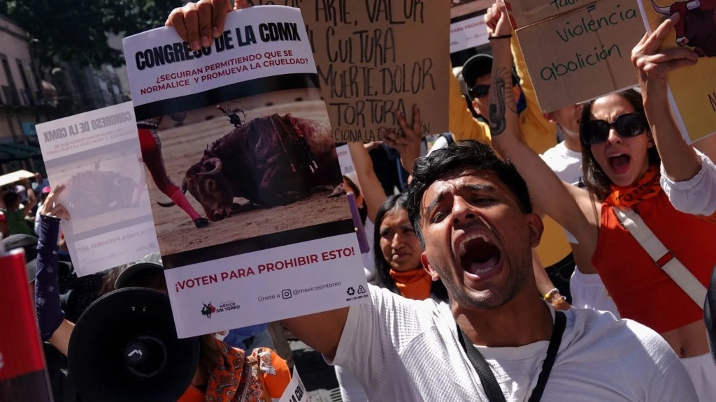 Congreso de CDMX Aprueba Prohibición de Corridas de Toros con&nbsp;Violencia