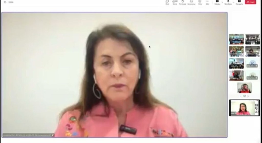 Participa Margarita González Saravia en sesión del Comité Nacional de&nbsp;Emergencias