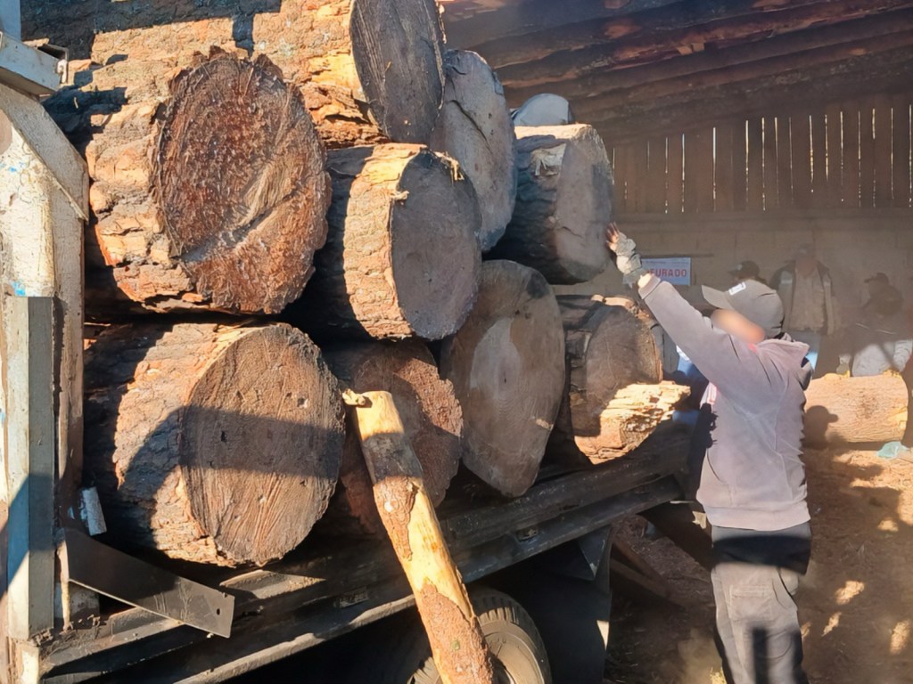 Desmantelan dos aserraderos en&nbsp;Huitzilac