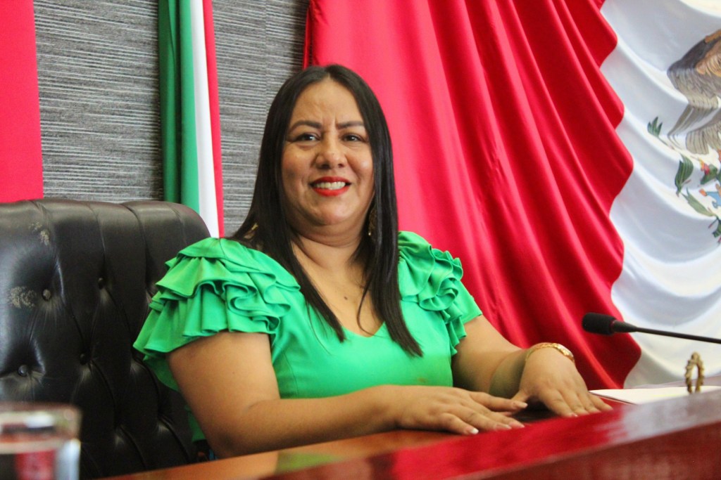 Presenta Jazmín Solano reformas al código penal para proteger a grupos vulnerables en materia&nbsp;familiar