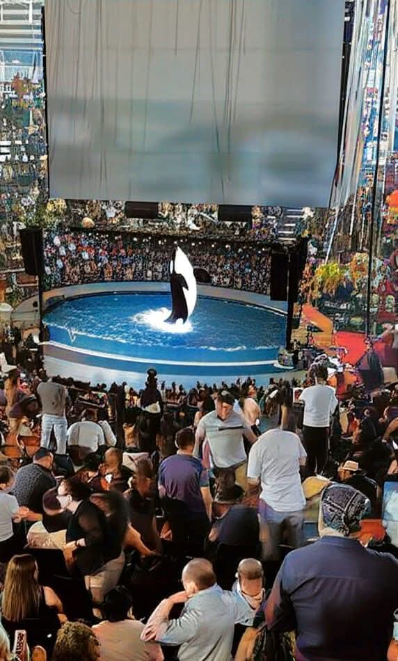 Llueve sobre mojado… y sobre&nbsp;baches