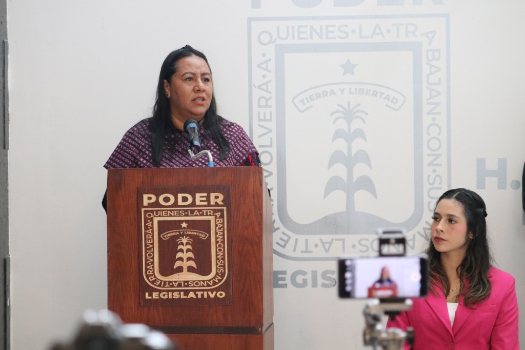 Propone Jazmín Solano que jóvenes puedan ser diputados desde los 18&nbsp;años