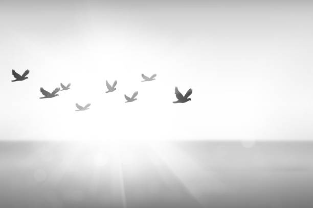 El propósito que construye&nbsp;futuro