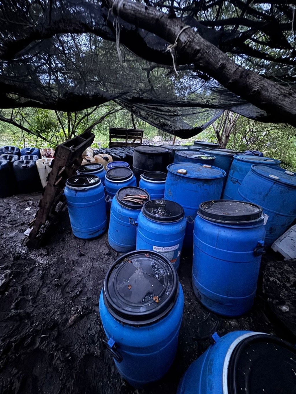 Asegura SSPC Morelos narcolaboratorio en&nbsp;Yautepec