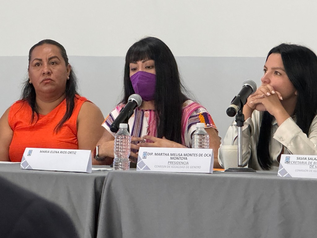 PRESENTAN LEY MALENA EN EL CONGRESO DE&nbsp;MORELOS