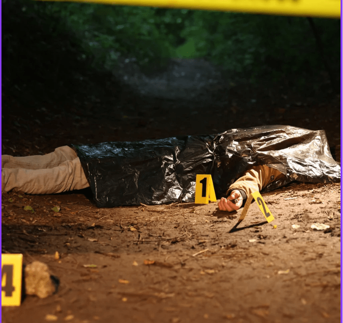 Sólo 2 de cada 10 cuernavaquenses se sienten seguros en la administración de JLU